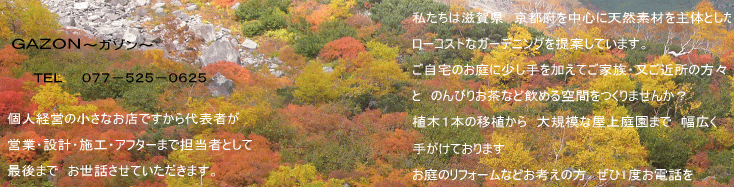 GAZON