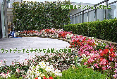 ウッドデッキ材 ウリン