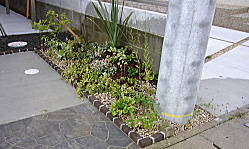 小さな癒しの空間