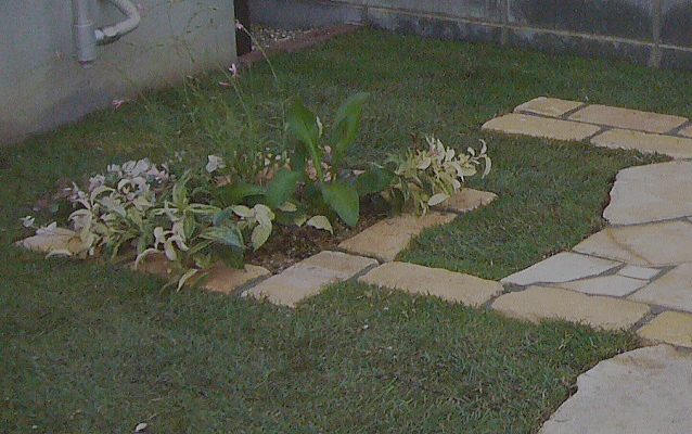 小さな寄せ植え