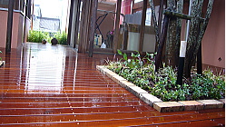 渡り廊下